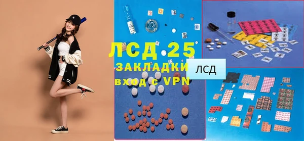 шишки Гусиноозёрск