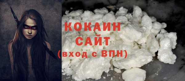 шишки Гусиноозёрск