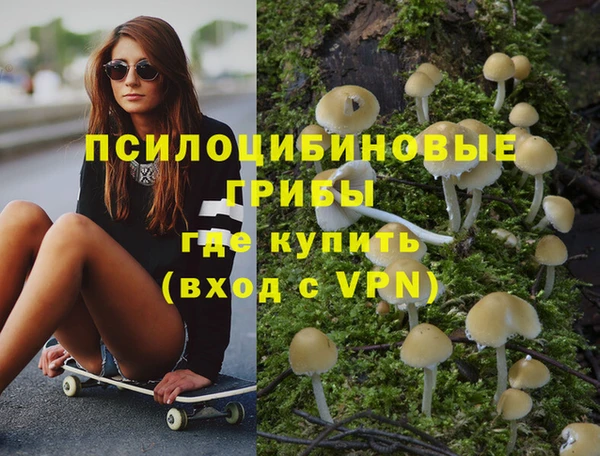 молекула духа Гусь-Хрустальный