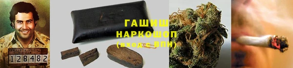шишки Гусиноозёрск