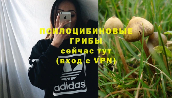 молекула духа Гусь-Хрустальный