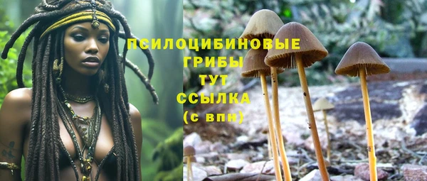 не бодяженный Гусев