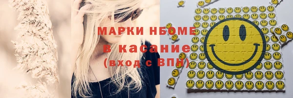 шишки Гусиноозёрск