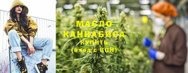 шишки Гусиноозёрск