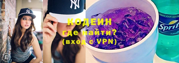 шишки Гусиноозёрск