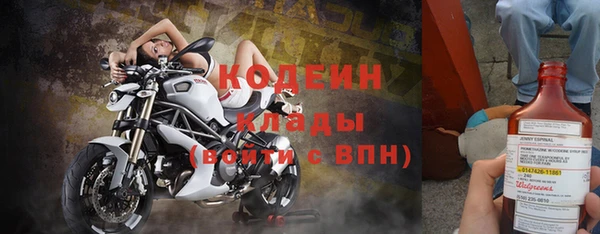 шишки Гусиноозёрск