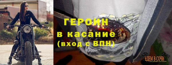 шишки Гусиноозёрск