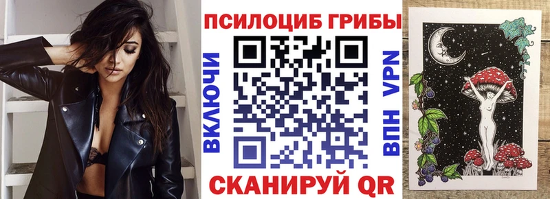 Купить  Острогожск  Псилоцибиновые грибы GOLDEN TEACHER 