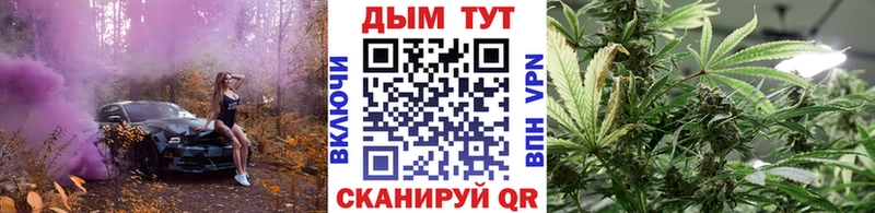 Конопля гибрид Купить где Острогожск
